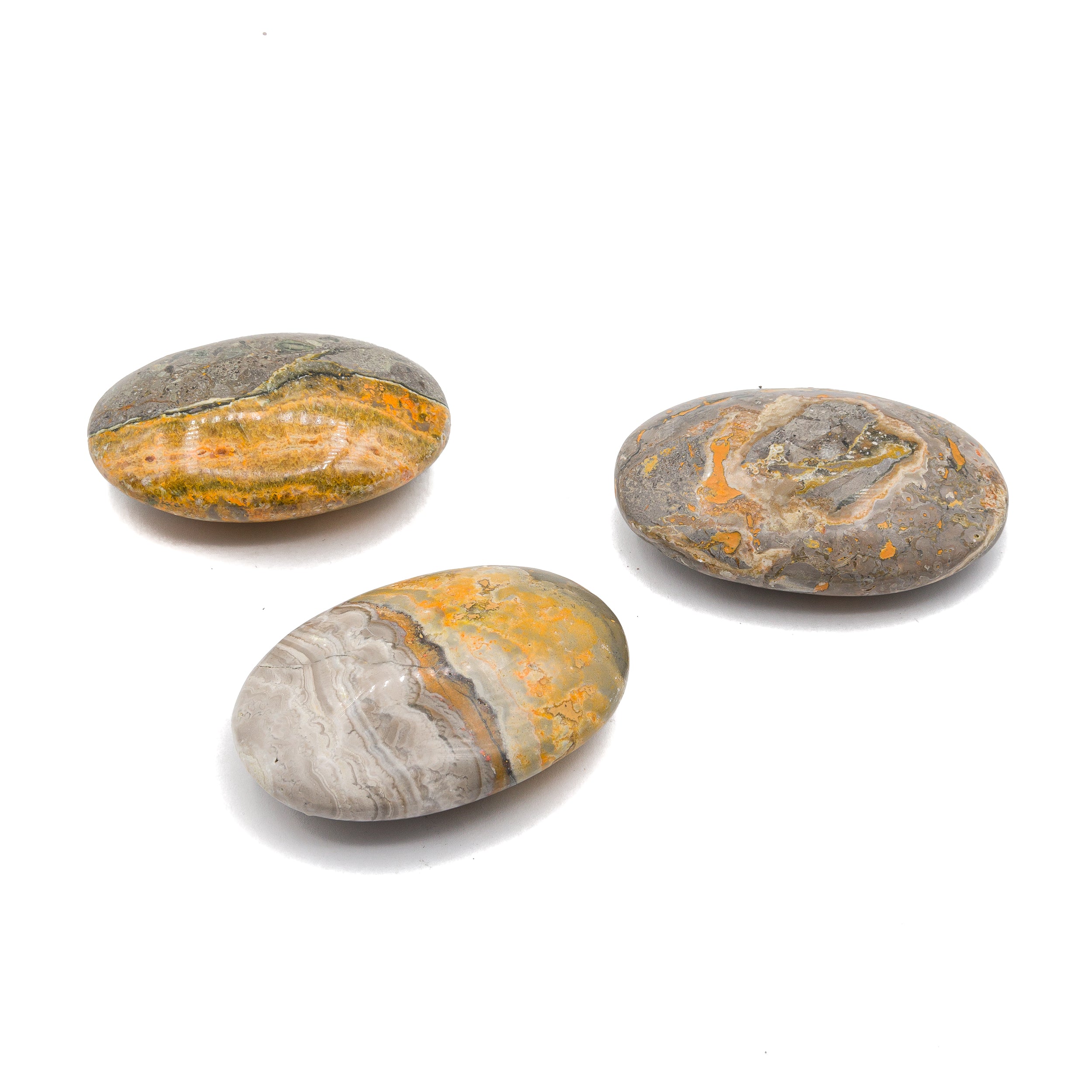 Jasper - Bumblebee Touchstone $90